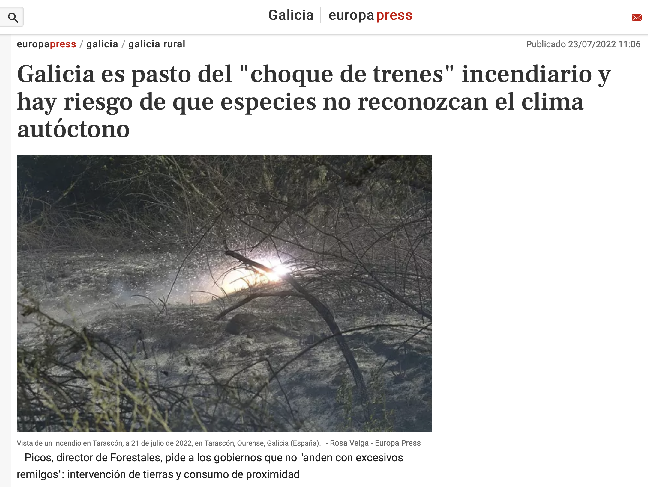 Galicia es pasto del «choque de trenes» incendiario y hay riesgo de que especies no reconozcan el clima autóctono