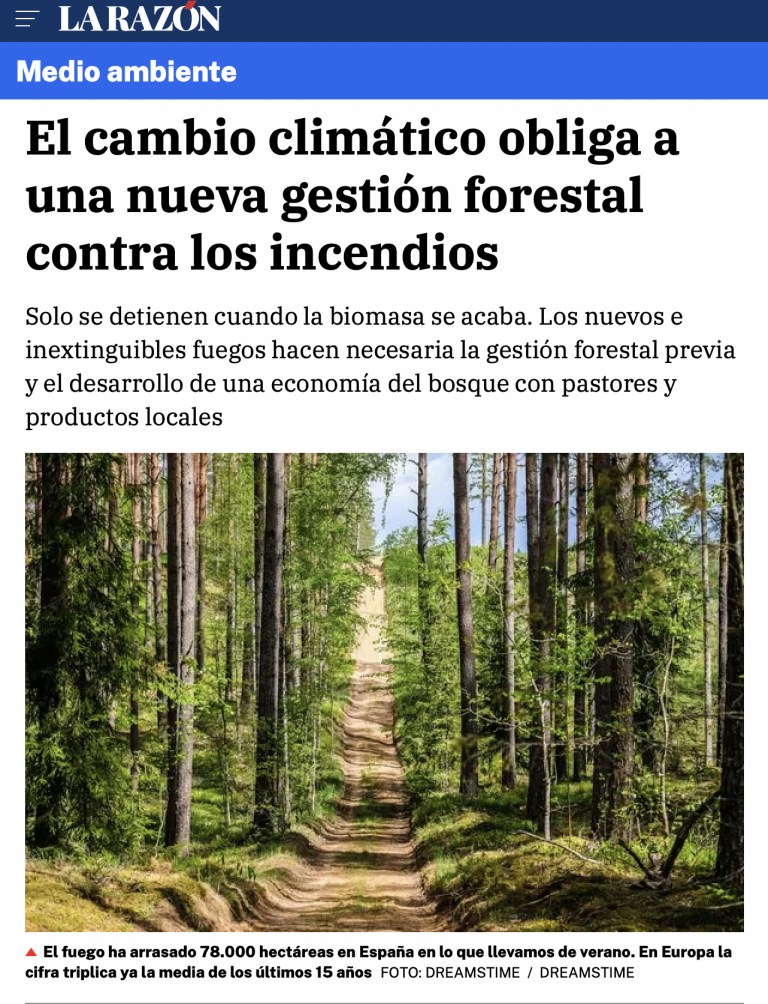 El cambio climático obliga a una nueva gestión forestal contra los incendios